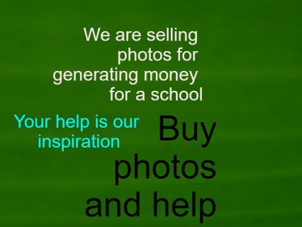 We are a school founder.We need money for running the school smoothly.We aim at serving quality education.Many poor children study at our school.They can't pay tuition fees.But we are to pay the salary to the staff of the school.We have initiated to sell photos to generate money for our school.You may buy photos from our site.If you buy from us,our poor learners will be benefited.So, you can kindly buy our products and help us go ahead.We are eagerly waiting for your any purchase.